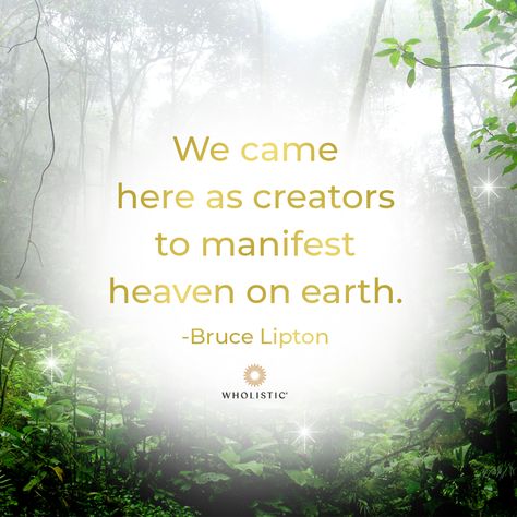 Heaven On Earth Quotes, Bruce Lipton Quotes, Divine Oneness, Bruce Lipton, Spiritual Person, Trust Building, Earth Quotes, Self Thought, Miracle Morning