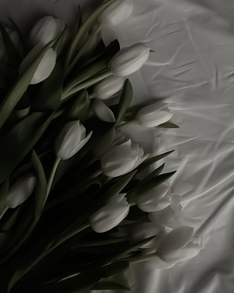 Ipad Lockscreen Aesthetic, Tulips Black And White, Iphone Wallpaper Elegant, Tulip Wallpaper, Iphone Wallpaper Violet, Black White Flowers, Aesthetic Profile Picture Cartoon Soft, Flowers Photography Wallpaper, Flowery Wallpaper