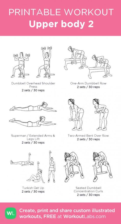 Womens Upper Body Workout, Printable Workouts At Home, Beginners Gym Workout Plan, One Arm Dumbbell Row, Strength Training Guide, Lift Workout, Body Chart, Workout Program Gym, Gym Plan