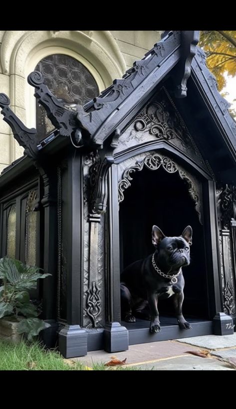 Here are the Ultimate Goth Cat Beds for Halloween or Anytime Goth Cat, Gothic Homes, Goth Houses, Gothic Interior, Black Houses, Modern Gothic, Dark Home Decor, Salem Massachusetts, Goth Home