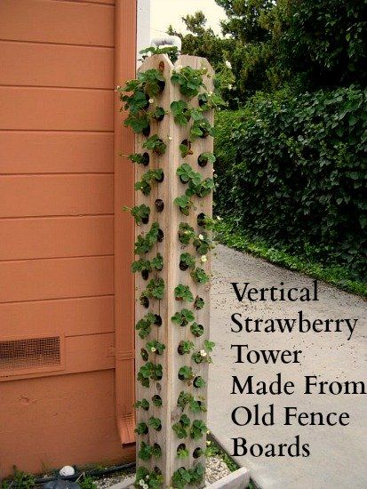 grow vertical strawberry garden in 10 diy ways Vertical Growing, Old Fence Boards, Strawberry Tower, Pallet Projects Garden, Strawberry Planters, Fence Boards, Planting Pots, Strawberry Garden, Tower Garden