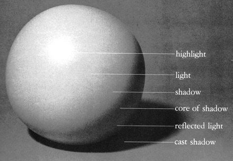 Learning  the rules that light and shadow obey, will help you  understand  what you are seeing and make it easier to draw!    Highlight : th... Architecture Shadow, Lighting Architecture, Blind Contour Drawing, Shading Drawing, Shadow Drawing, Art Basics, Shading Techniques, Contour Drawing, Shadow Art