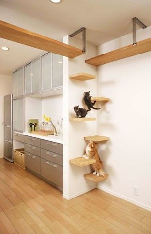 Cool Cat Beds, Katt Diy, Diy Remodeling, Katt Grejer, Kat Diy, Cat Ladder, Diy Cat Tree, Cat Perch, Design Blogs