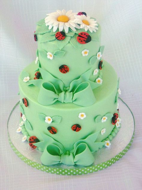 Owl Cakes, Nature Cake, Cakes For Sale, Ladybug Baby Shower, Ladybug Baby, Owl Cupcakes, Baby Ladybug, Cinderella Cake, Wedding Cakes Blue