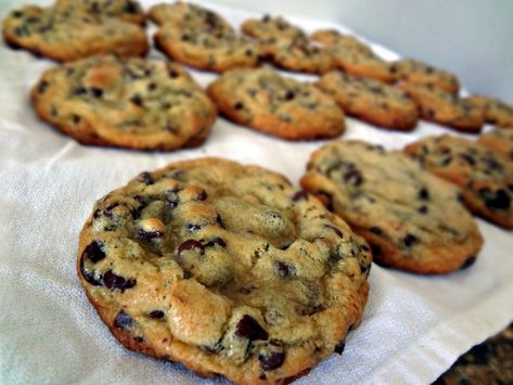 Greenland Recipes, Low Carb Backen, Desserts Keto, Low Carb Muffins, Low Carb Treats, Low Carb Cookies, Low Carb Sweets, Chewy Chocolate Chip, Low Carb Eating