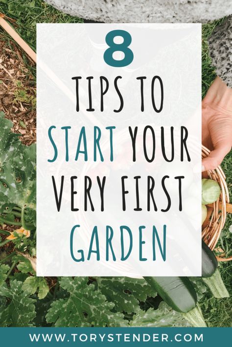 How To Start Raised Garden Beds, How To Start A Small Garden Patio, My First Garden Backyards, When To Start A Raised Garden, How To Set Up Garden, How Many Vegetables To Plant Per Person, Beginners Garden Layout, Beginners Guide To Gardening, First Garden Ideas