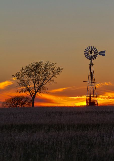 Texas Windmill; Taken in Burkburnett, Texas; Chandler Photography.  Pretty sure this is across the road from my house Landscape Pics, Farm Windmill, Windmill Water, Old Windmills, Texas Photography, Ulsan, Old Barns, Beautiful Sunset, Country Life