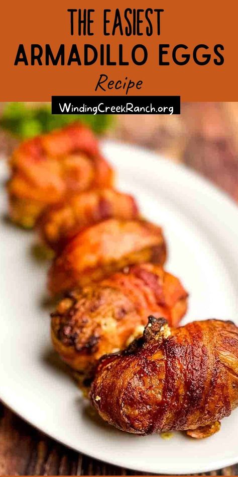 Try this EASY and delicious recipe for Air Fryer Armadillo Eggs. These crispy, cheesy, bacon-wrapped appetizers are the perfect appetizer! Armadillo Eggs Recipe Air Fryer, Crochet Armadillo, Stuffed Armadillo, Armadillo Eggs Smoked, Texas Armadillo Eggs, Armadillo Eggs Recipe, Wrapped Appetizers, Armadillo Eggs, Bacon Wrapped Appetizers