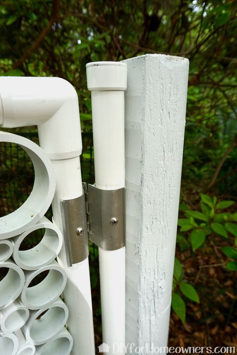 Pvc Pipe Gates And Fences, Pvc Pipe Furniture Fence, Pvc Projects Diy Ideas Outdoor, Pvc Privacy Screen, Backyard Gate, Pvc Gate, Hinges Diy, Pipe Fence, Furniture Grade Pvc