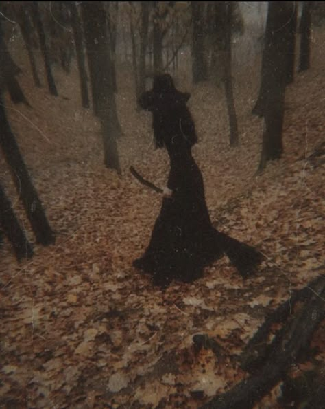 Dark autumn witchy fall aesthetic Autumn Witch, Witch Room, Witch Coven, Scary Halloween Costume, Dark Witch, Autumn Tree, Dark Autumn, Dark Cottagecore, Leaves Fall