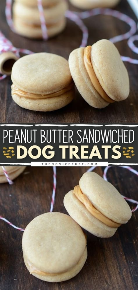 Peanut Butter Sandwiched Dog Treats Dog Cookie Recipes, Homemade Pet Treats, Pet Treats Recipes, Dog Treats Homemade Easy, Easy Dog Treat Recipes, Butter Sandwich, Dog Biscuit Recipes, Healthy Dog Treats Homemade, Easy Dog Treats