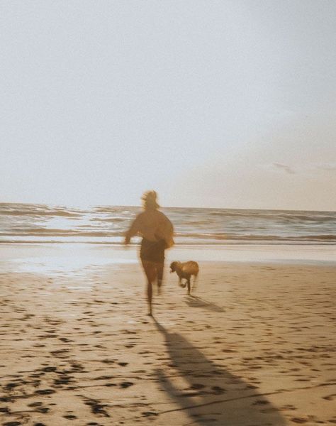 Dog On A Beach, Dog At The Beach Aesthetic, Beach With Dog Pictures, Dog Beach Photography, Running With Dog Aesthetic, Dog Beach Aesthetic, Dog Walks Aesthetic, Dog Beach Pictures, Dog Walking Aesthetic