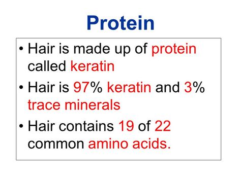 Hair Science Theory, Hair Anatomy, Hair Knowledge, Hair Theory, Hair Color Wheel, Beauty School Cosmetology, Barber Tips, Beautician Course, Senses Gift