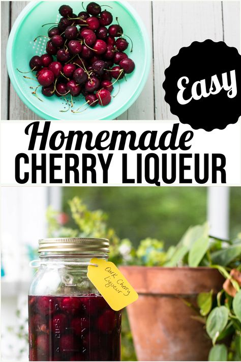 Homemade Cherry Liqueur - this is going to be one your favorite ways to preserve cherries!  Simply pit some cherries, add them to a jar with vodka and sugar and let time do all the work.  You'll end up with amazingly delicious homemade cherry liqueur!  Strain out the cherries and bottle it for yourself and yummy holiday gifts! Cherry Liquor Recipes, Booze Recipes, Homemade Booze, Homemade Liqueur, Homemade Liqueur Recipes, Liqueur Recipes, Flavored Liquor, Homemade Alcohol, Pretty Bottles