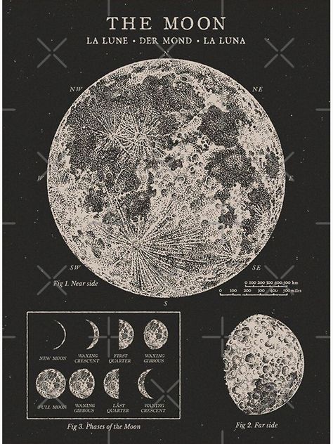 25 Aesthetic, Vintage Astronomy Prints, Celestial Chart, Moon Chart, Poster Moon, Moon Phases Art, Grunge Posters, Astronomy Pictures, Astronomy Art