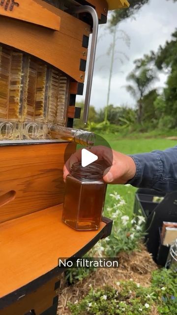 721K views · 40K likes | Flow® Hive on Instagram: "We always get asked ‘Do you need to filter the honey as you harvest?’ Watch as the honey flows straight from the hive into your jar.  🐝Want to learn more about bees and beekeeping? 🌿 Join us for our weekly Live beekeeping Q&A with Cedar, Wednesday at 10am AEDT (Tuesday, 3pm PT) Countdown in stories⏰  Whether you’re a seasoned beekeeper or just bee-curious, we’d love to see you there! Get your questions ready 🐝 💛  #flowhive #beeeducation #liveqanda" How To Make A Bee Hive, Honey Bees Keeping, Harvesting Honey, Flow Hive, Honey Bee Hives, Bee Hives, Bee Farm, The Hive, Honey Bees