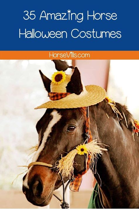 Horse Rider Halloween Costume, Horses Costumes, Pony Costume, Horse Costumes Ideas, Horse Rider Costume Ideas, Horse Collection, Cute Halloween Costumes For You And Your Horse, Horse And Rider Costumes Halloween Ideas, Pony Costumes