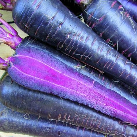 Purple Carrots, Spring Vegetable Garden, Purple Vegetables, Fruit Or Vegetable, Black Carrot, Seed Storage, Purple Food, Purple Carrot, Unique Vegetables