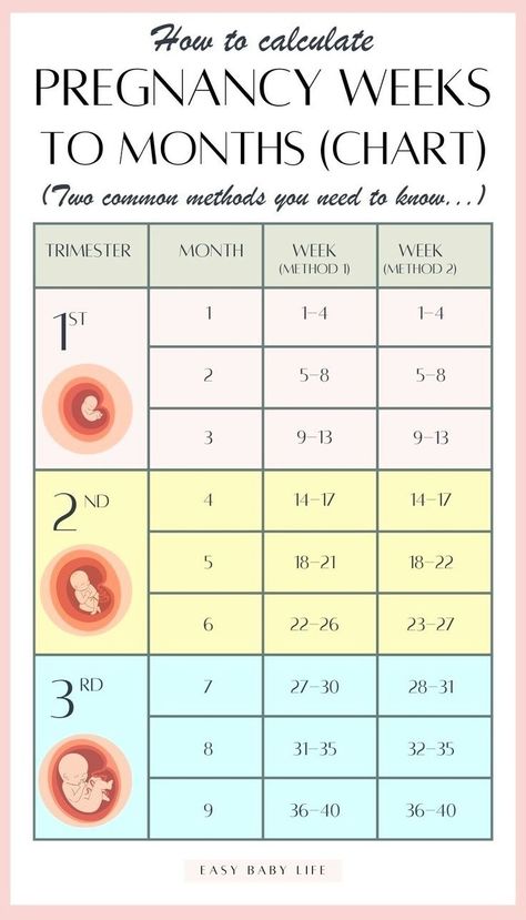 Finding how to calculate pregnancy weeks to months CONFUSING? Well, it is! Bookmark this super handy pregnancy weeks to months  chart with two common methods! The article also explains how to calculate the trimesters of pregnancy and due date. Perfect first pregnancy info for new moms!  (Also for mamas interested in pregnancy tips, pregnancy advice, pregnancy week by week, pregnancy stages, early pregnancy, pregnancy months, getting pregnant, pregnancy guide.) Pregnancy Weeks To Months, Weeks To Months Pregnant, Trimester Chart, Pregnancy Weeks, Week By Week Pregnancy, Pregnancy Chart, Pregnancy Due Date, Baby Weeks, Pregnancy Facts