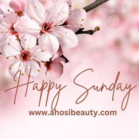 #happysunday #sunday #smallbusiness #business #womanowned #femaledowned #supportsmallbusiness Happy Sunday Wishes, Happy Sunday Messages, Message For My Love, Sunday Morning Wishes, Monday Wishes, Sunday Messages, Sunday Prayer, Happy Monday Quotes, Happy Sunday Morning