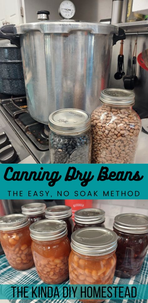 Canning Dry Beans, Canning Beans, Cleaning Oven, Canning Salt, Easy Canning, Pressure Canning Recipes, Canning 101, Home Canning Recipes, Canning Vegetables