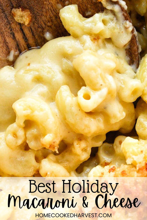 Up close of gooey mac and cheese. Three Cheese Pasta Bake, Baked Shells And Cheese, Christmas Mac And Cheese, Three Cheese Mac And Cheese, Thanksgiving Mac And Cheese, Decadent Dinner, Baked Mac And Cheese Recipe, Cheese Homemade, Baked Macaroni And Cheese