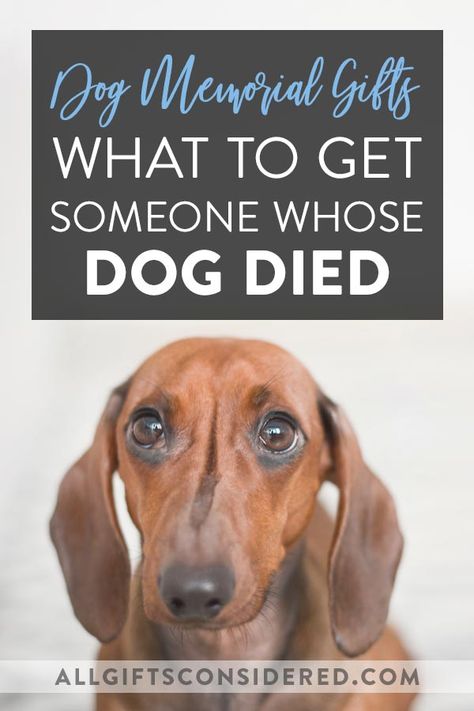 If you're wondering what to get someone whose dog died, here are 10 beautifully heartwarming pet loss sympathy gifts for your grieving friend. Pet Memorial Diy, Pet Memorial Ideas Dogs, Dog Passing, Dog Memorial Gifts, Pet Loss Dog, Genuinely Happy, Alone At Home, Dog Sympathy Gifts, Dog Remembrance