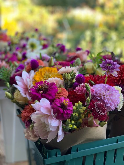 Zinnia Sunflower Bouquet, Sunflower And Zinnia Bouquet, Dahlia Zinnia Bouquet, Orange Zinnia Flowers, Dahlia Market Bouquet, Zinnia Bouquet, Zinnia Garden, Dahlia Bouquet, Summer Bouquet