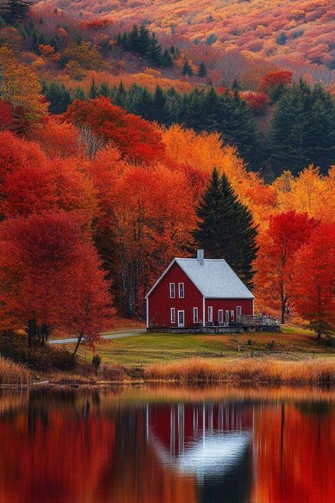 New England Fall, Autumn Magic, Us When, Pretty Landscapes, Autumn Scenes, Autumn Scenery, Autumn Beauty, Online Group, Fall Pictures