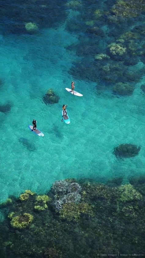 European Islands, Hawaii Water, Landscape Tropical, South Europe, Tropical Places, Summer Beach Vibes, Paddle Board Surfing, Palm Tree Island, Tropical Water