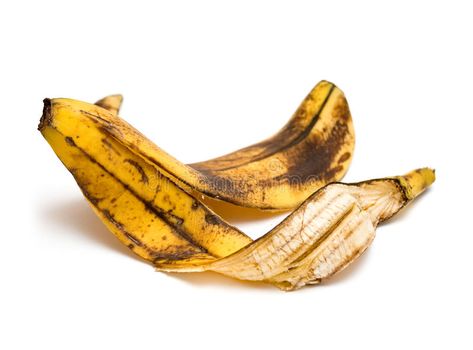 Banana Health Benefits, Bug Off, Natural Fertilizer, Banana Peel, Health Trends, Nature Drawing, Caribbean Recipes, Health Articles, Permaculture