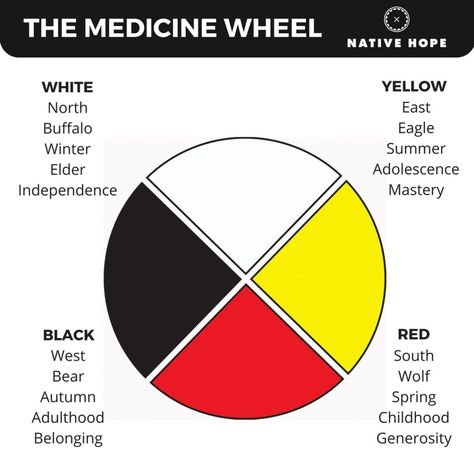 Cree Culture, Circle Of Courage, Indigenous Teachings, Comanche Indians, Native American Medicine Wheel, Indigenous Studies, Aboriginal Education, Indigenous Education, Native American Spirituality