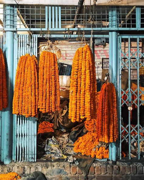 Bengali Culture, The Flower Market, Dream Beach Wedding, Marigold Flower, North India, Farm Stand, Before Sunrise, Fashion Photography Inspiration, Holiday Red