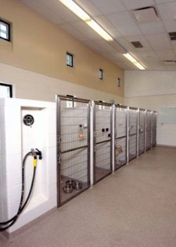 Kennels Animal Hospital Design, Dog Daycare Design, Kennel Business, Veterinary Design, Dog Boarding Ideas, Dog Daycare Business, Dog Boarding Facility, Dog Boarding Kennels, Outdoor Dog Kennel