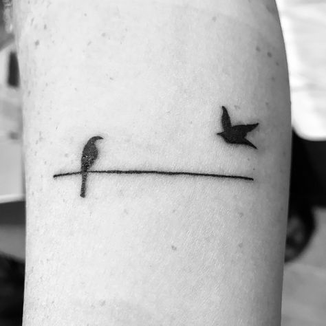 Bird on a wire tattoo (day 1) Birds Wire Tattoo, Bird On A Line Tattoo, Two Birds On A Wire Tattoo, Bird On A Wire Tattoo, Birds On A Wire Tattoo, Two Birds On A Wire, Tattoo Birds, Wire Tattoo, Cupid Tattoo