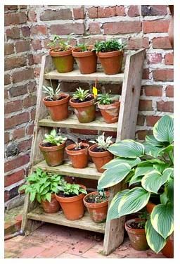 Stepped ladder type plant stand? Pond Diy, Ladder Plant Stand, Garden Ladder, Herb Garden Pallet, Old Ladder, Herb Garden Design, Garden Shelves, Plant Stands Outdoor, Vertical Herb Garden