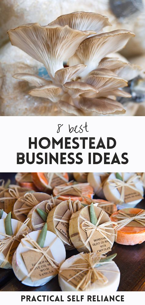 Homestead Business, Dream Homestead, Homestead Life, Cloud Craft, Best Business Ideas, Thriving Business, Pattern Skirt, Local Farmers Market, Goat Farming