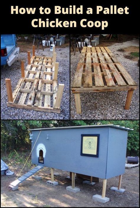 DIY Pallet Chicken Coop: Transforming simple pallets into a cozy home for your feathered friends! Pallet Chicken Coop Diy Easy, Chicken House Diy, Pallet Chicken Coop, Pallet Coop, Easy Diy Chicken Coop, Chicken Coop Designs Diy, Repurposed Pallets, Chicken Coop Plans Free, Cheap Chicken Coops