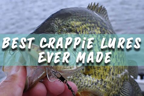 6 Best Crappie Lures Ever Made | Boat Safe | Water Sports, Product Reviews, and Nautical News Crappie Lures, Crappie Fishing Tips, Crappie Jigs, Rooster Tail, Deep Diving, Lure Making, Crappie Fishing, Fishing Ideas, Fishing Stuff