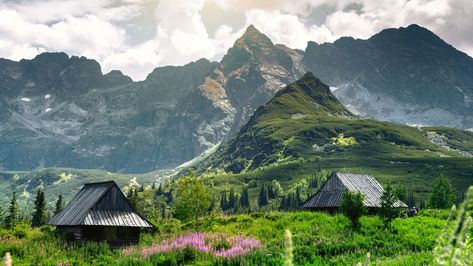 Zakopane travel guide: The small town in Poland offers everything from affordable skiing to incredible hikes and thermal baths – discover what to do, see and where to eat Big Cabin, Zakopane Poland, Thermal Baths, 2023 Travel, Thermal Pool, Tatra Mountains, Thermal Bath, Celebrity Travel, Travel List