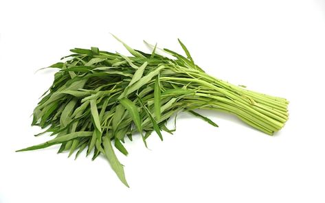 Pile of chinese morning glory isolated o... | Premium Photo #Freepik #photo #spinach #food-leaf #water-spinach #fresh-food Sayur Kangkung, Background Water, Water Spinach, Morning Glory, Premium Photo, Fruits And Vegetables, Green Beans, Spinach, White Background