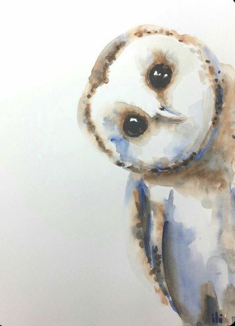 Water Colour Animals Easy, Watercolour Owl, Watercolor Owls, Drawing Wildlife, Wildlife Watercolor, Watercolour Animals, Owl Watercolor, Bird Watercolor Paintings, Bird Watercolor