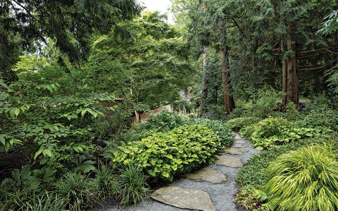 Deer Friendly Landscaping, Woodland Slope Garden, Deer Resistant Shade Garden, Woodland Gardens Backyard, Woodland Landscape Design, Woodland Edge Garden, Dry Shade Garden Ideas, Dry Shade Garden, Deer Resistant Garden Design