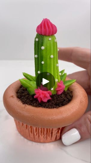 7.2M views · 94K reactions | In a world full of flowers 🌸..... be a cactus 🌵 I used crushed Oreos for the soil and a pocky stick for the centre. I used two shades of green buttercream in the piping bag to give the two tone effect and the"spikes" are regular white sprinkles#cupcake #cactus #cakedecorating #cakedbyrach #succulents #buttercream | Caked By Rach | Imagine Dragons · On Top Of The World Cupcake Cactus, Green Buttercream, Pocky Sticks, Frosting Flowers, Sprinkle Cupcakes, Crushed Oreos, Piping Bag, Cupcake Frosting, Cup Cakes