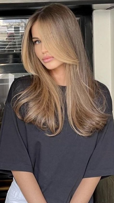 50 Blunt Cuts and Blunt Bobs That Are Dominating in 2024 Soft Perimeter Haircut, Tallulah Metcalfe Haircut, Middle Length Haircut Straight, Middle Length Straight Hair, Mid Back Length Hair Straight, Face Framing Thick Hair, Medium Hair With Long Bangs, Breast Length Hair, Brown Hair Face Framing