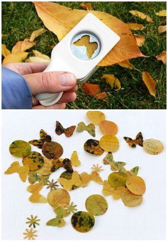 Leaf confetti - a gorgeous idea for an autumn wedding, but could also work with flower petals or even customising with tissue paper / wrapping paper / pages of a book. Leaf Confetti, Rustic Wedding Decorations, Tissue Paper Wrapping, Deco Nature, Eco Wedding, Paper Wrapping, Fairy Wedding, Eco Friendly Wedding, Fairy Parties