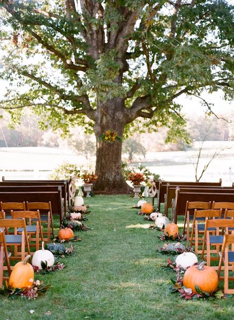 45 Fall Wedding Ideas For A Stunning Autumn Affair Fall Wedding Ceremony, Fall Wedding Diy, Pumpkin Wedding, Outdoor Fall Wedding, Rustic Fall Wedding, Wedding Centerpieces Diy, Fall Wedding Decorations, Aisle Decor, Fall Wedding Colors