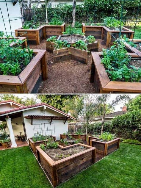 When planning your garden, there are so many backyard landscaping and garden design ideas out there and it’s so hard to choose. This post will help you learn how to design and sketch your garden design ideas to plan your perfect garden. You have to see these amazing garden design ideas on this pin! #gardening #gardeningtips #gardeningplans #backyardlandscaping #gardendesignideas Raised Garden Designs, Shed Inspiration, Taman Diy, Raised Garden Bed Ideas, Garden Bed Ideas, Raised Garden Bed Plans, Vegetable Garden Raised Beds, Garden Layout Vegetable, Building A Raised Garden