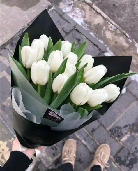 White Tulip Bouquet, Single Flower Bouquet, Fancy Flowers, Boquette Flowers, Flower Gift Ideas, Flower Guide, Tulip Bouquet, Flowers Bouquet Gift, Flowers Petals