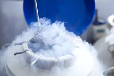 Liquid Nitrogen Facts, Safety and Uses Egg Freezing, Frozen Embryo Transfer, Chances Of Pregnancy, Freezing Eggs, Fertility Testing, Assisted Reproductive Technology, Body Clock, Ivf Cycle, Liquid Nitrogen